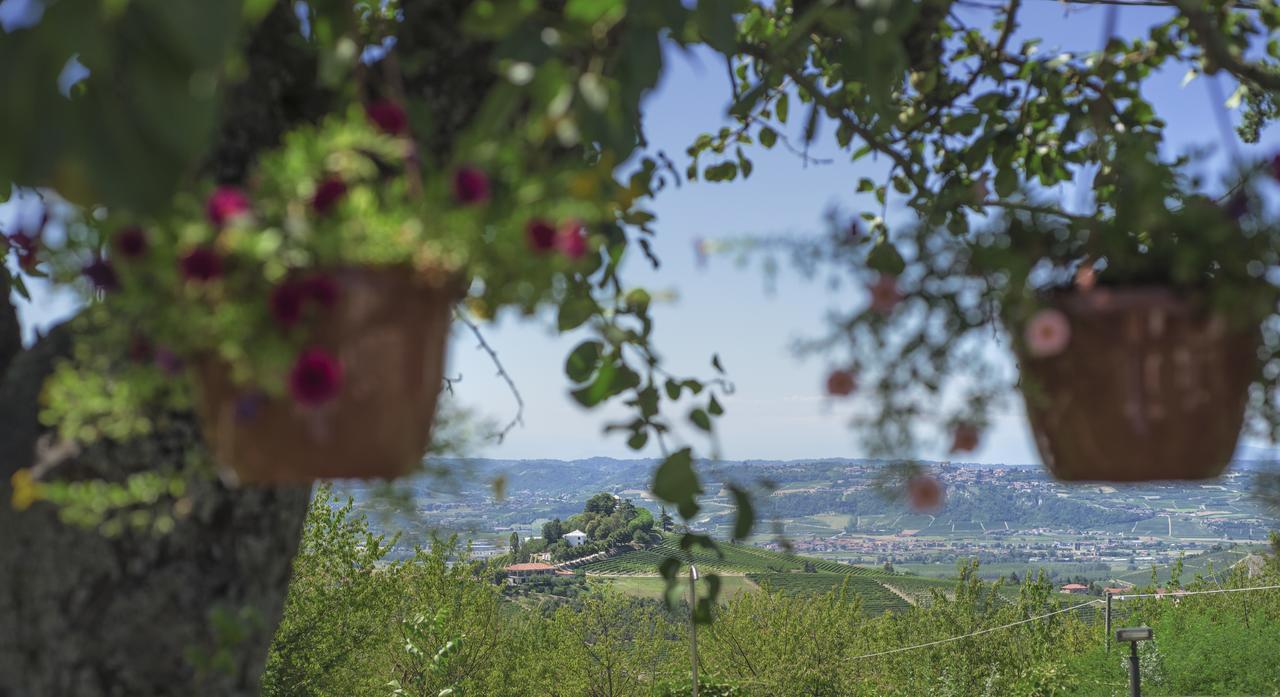 Casa Vacanze San Stefanetto Pensionat Treiso Eksteriør billede